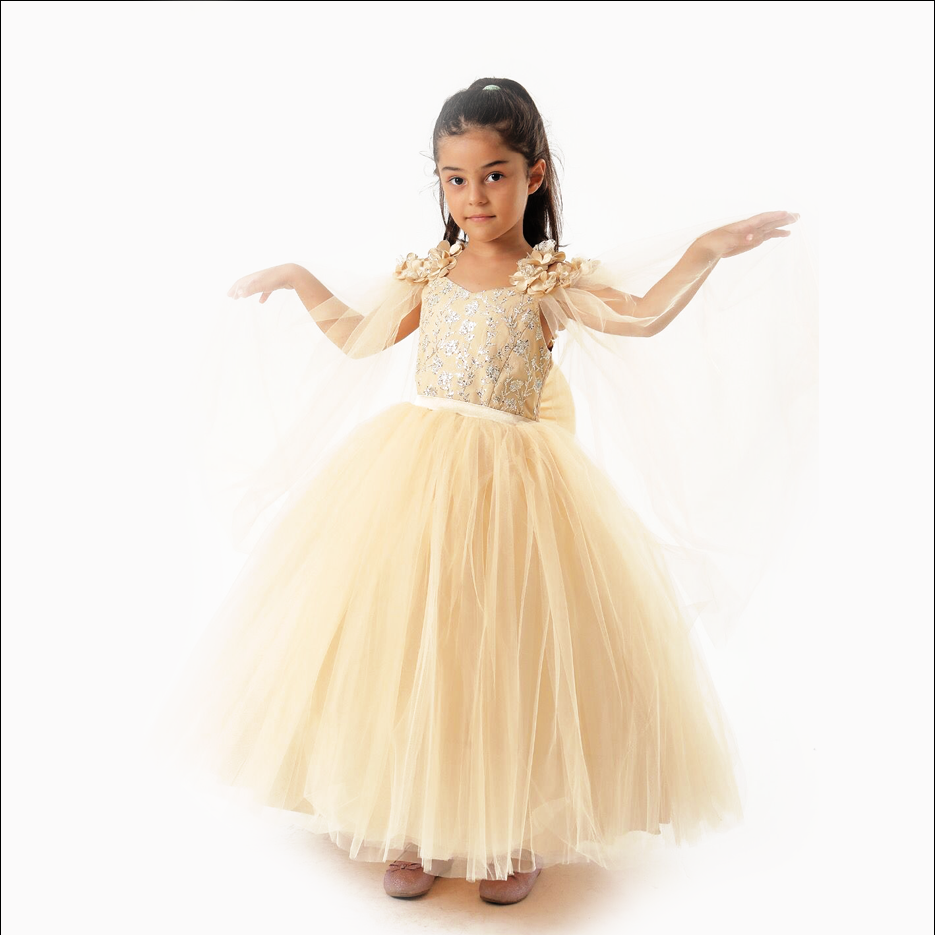 Girl's Beige  Balloon dress